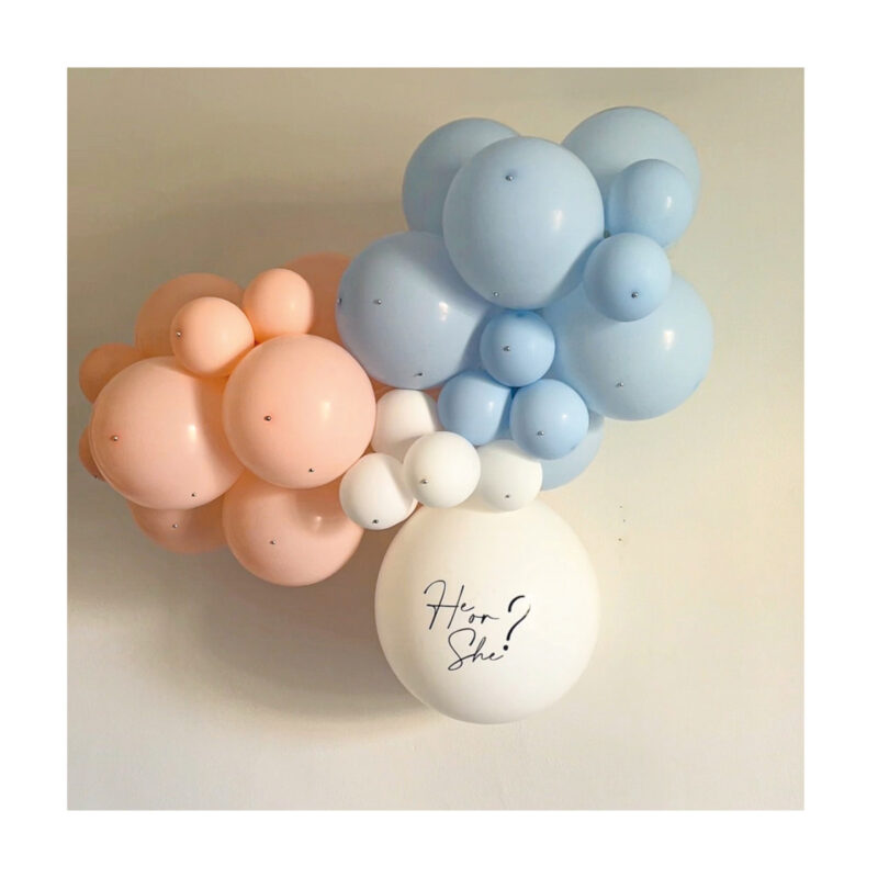 Kit Gender Reveal Party